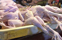 Будьте осторожны! В Югре обнаружено зараженное куриное мясо Kura